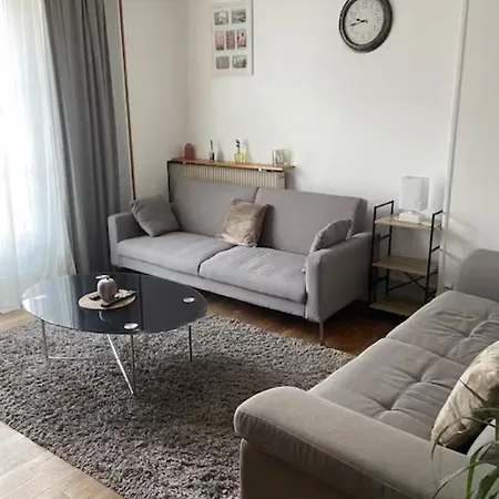 Appartement Spacieux Cosy Centre Epinal !!! Exterior foto