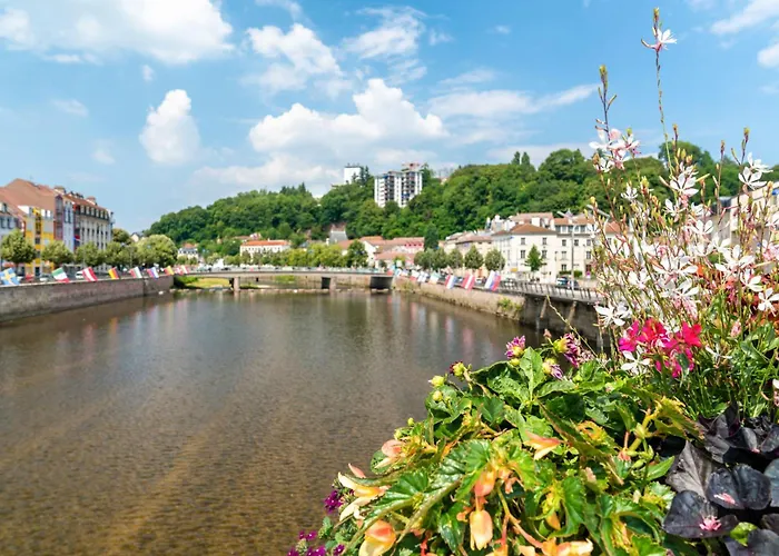 Appartement Spacieux Cosy Centre Epinal !!!